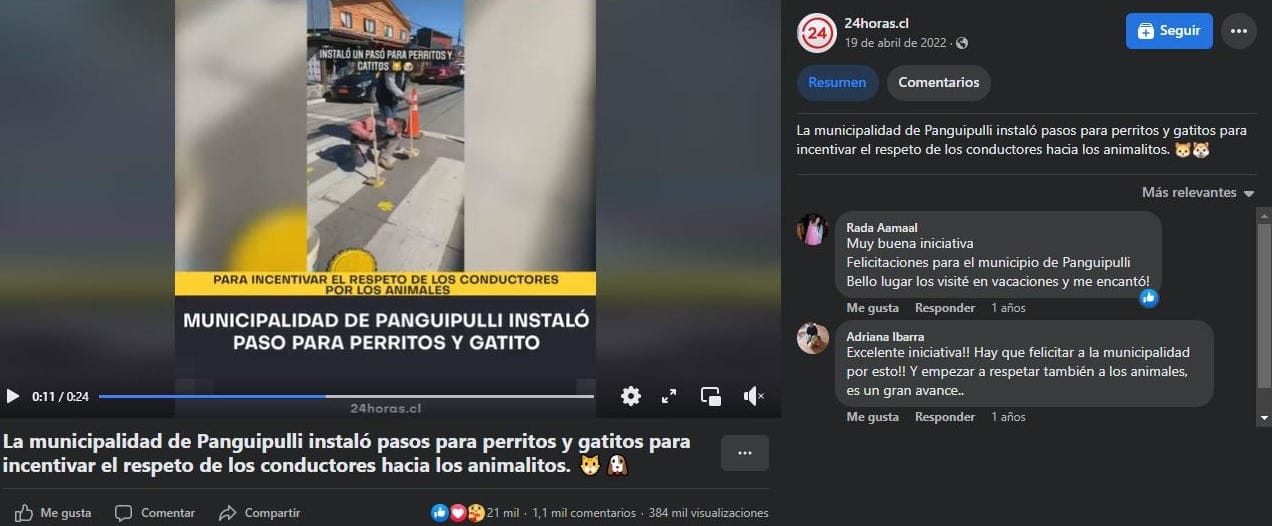 24horas.cl-municipalidad-panguipulli-pintado-huellas-perro-pasos-peatonales-19-04-2022