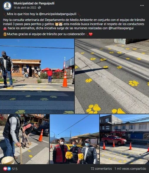 Municipalidad-panguipulli-pintado-huellas-de-perro-paso-peatonal-14-04-2022