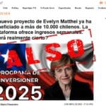 evelyn matthei proyecto