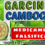 garcinia cambogia