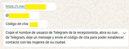 tma club amor whatsapp